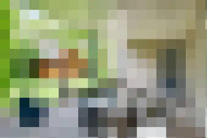 Drievennestraat 4 Lierop thumbnail 5
