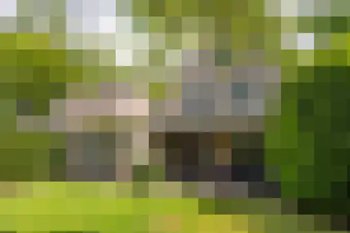 Drievennestraat 4 Lierop thumbnail 52