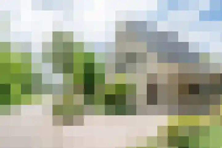 Drievennestraat 4 Lierop thumbnail 9