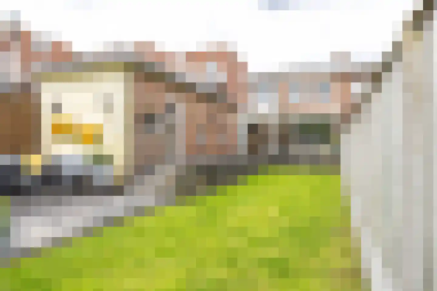 Drievogelstraat 183 Kerkrade thumbnail 47