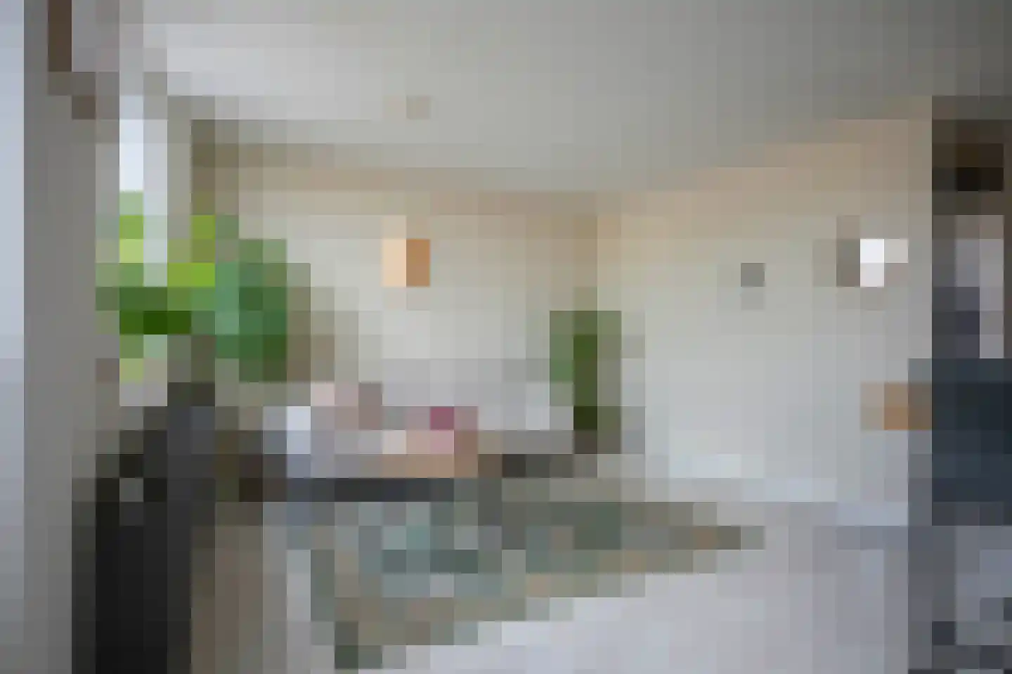 Drievogelstraat 187 Kerkrade thumbnail 7