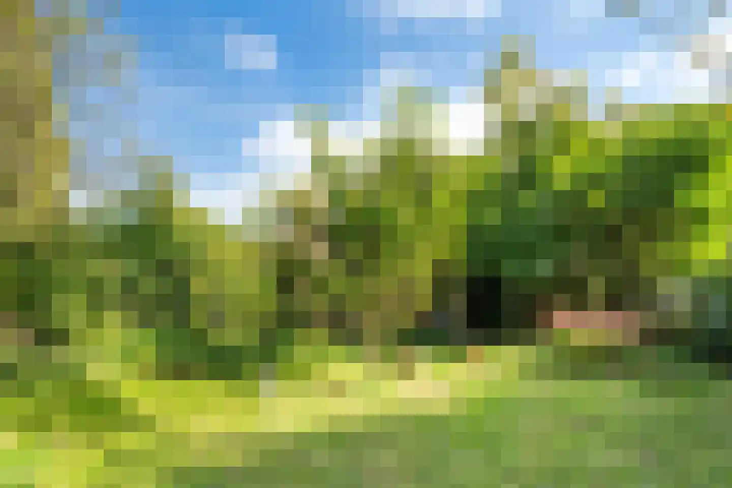 Drievogelstraat 34 Kerkrade thumbnail 5