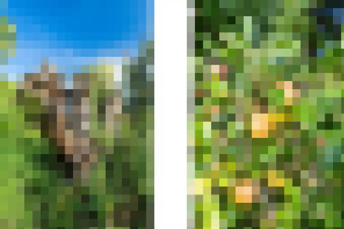 Drievogelstraat 34 Kerkrade thumbnail 8