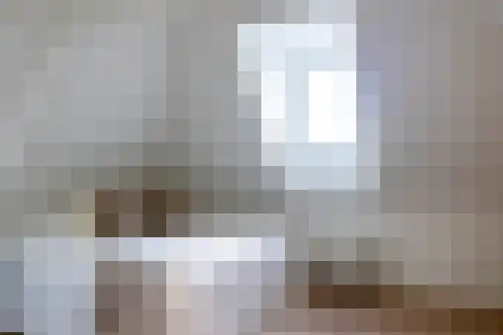 Drievriendendwarsstraat 11 B Rotterdam thumbnail 12