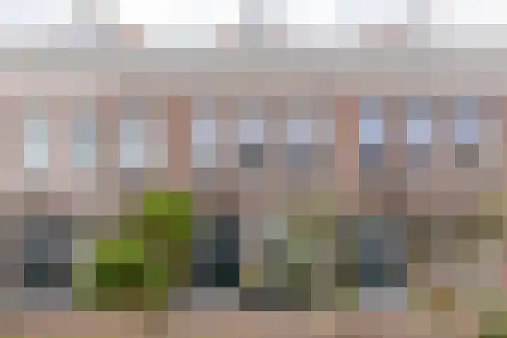 Drievriendendwarsstraat 11 B Rotterdam thumbnail 21