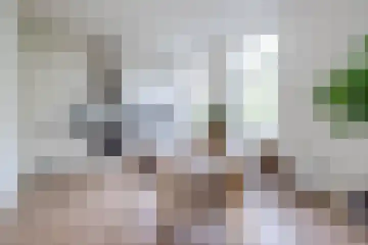 Drievriendendwarsstraat 11 B Rotterdam thumbnail 4