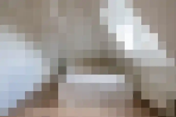 Drievriendendwarsstraat 11 B Rotterdam thumbnail 5