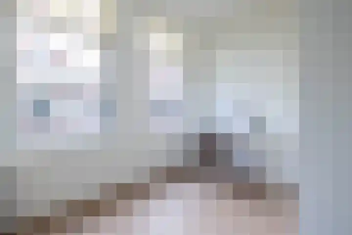 Drievriendendwarsstraat 11 B Rotterdam thumbnail 8