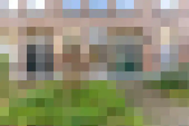 Drievriendendwarsstraat 12 B Rotterdam thumbnail 20