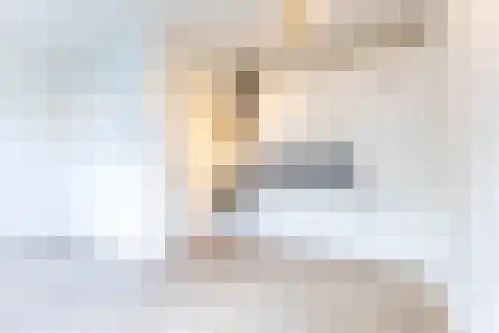 Drievriendendwarsstraat 12 B Rotterdam thumbnail 7