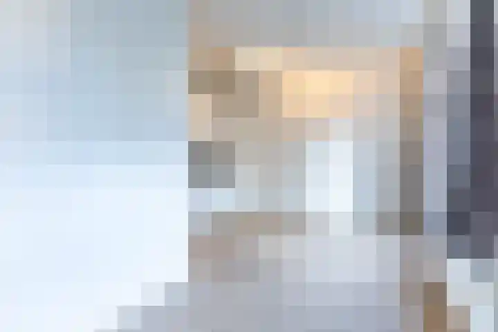 Drievriendendwarsstraat 12 B Rotterdam thumbnail 8