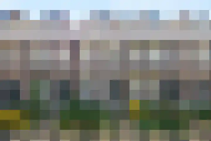 Drievriendendwarsstraat 8 Rotterdam thumbnail 4