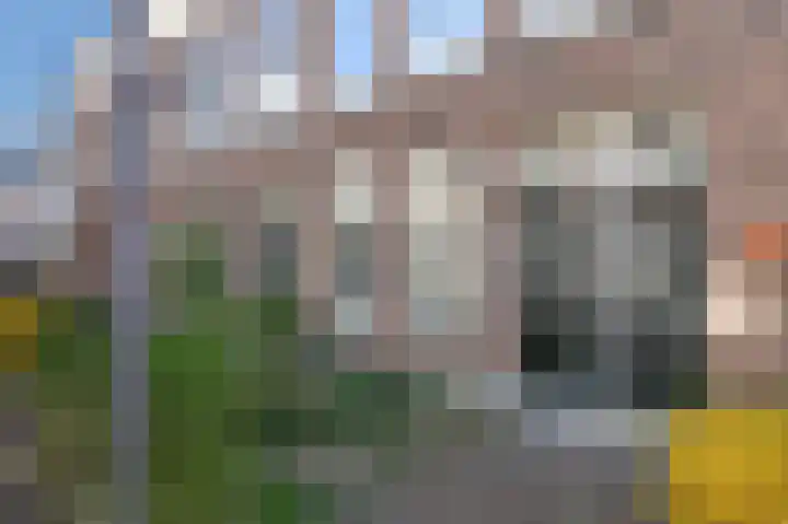 Drievriendendwarsstraat 8 Rotterdam thumbnail 5