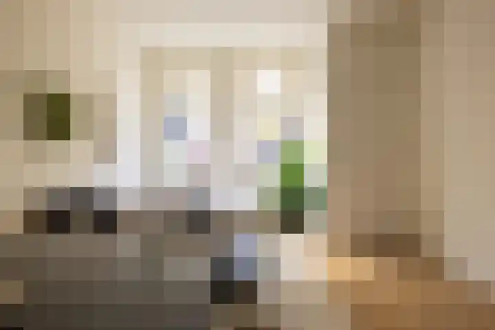 Drievriendenstraat 10 B Rotterdam thumbnail 9