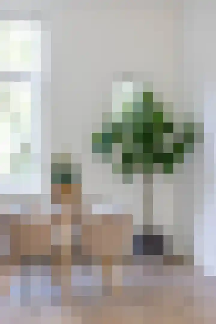 Drievriendenstraat 4 B Rotterdam thumbnail 10