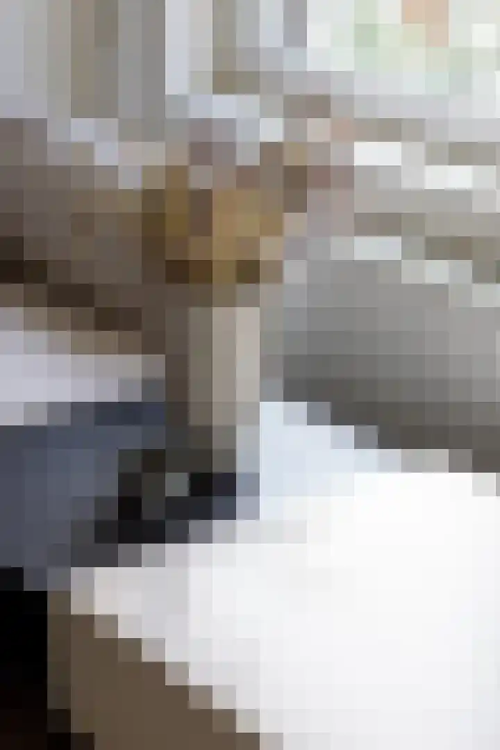 Drievriendenstraat 6 A Rotterdam thumbnail 4
