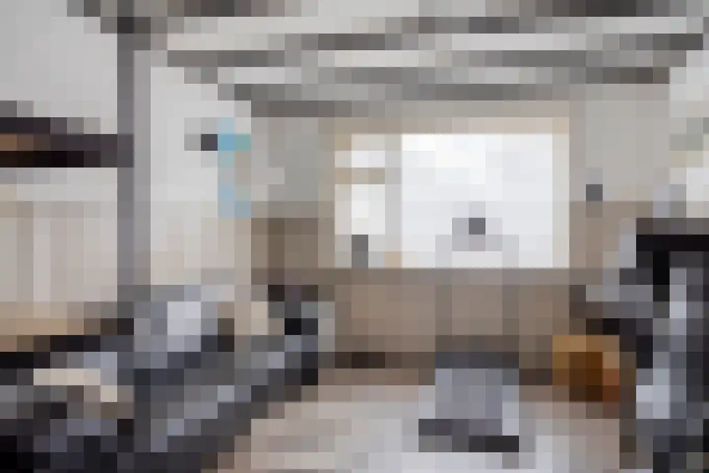 Driewegenstraat 2 Terneuzen thumbnail 17