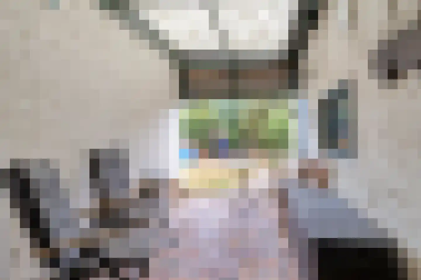 Driewegenstraat 2 Terneuzen thumbnail 24