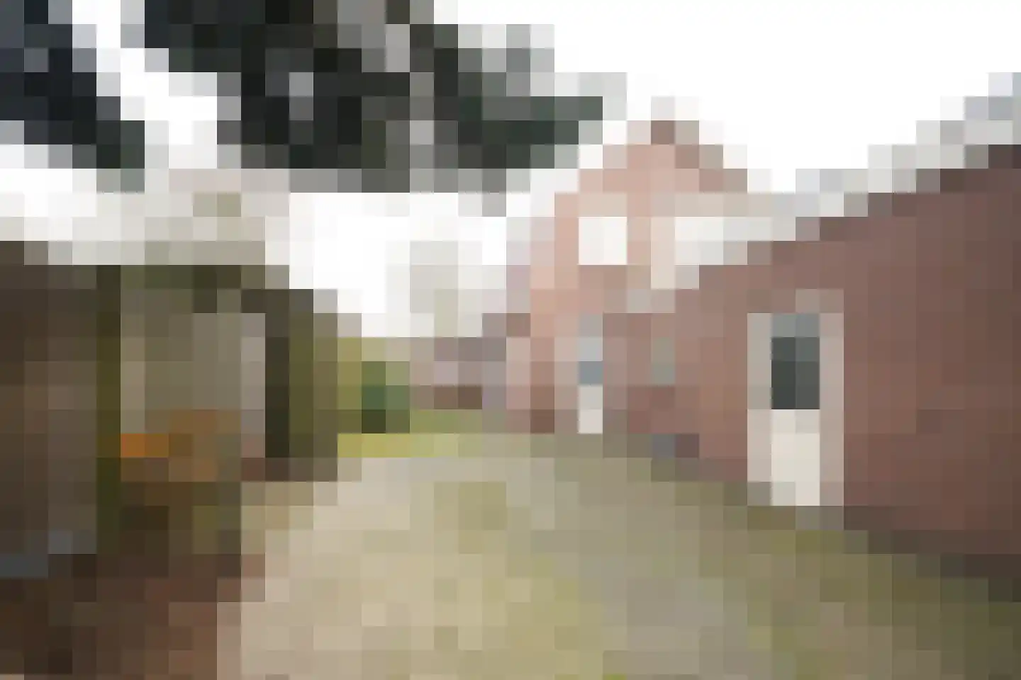 Driewegenweg 1 Putten thumbnail 45