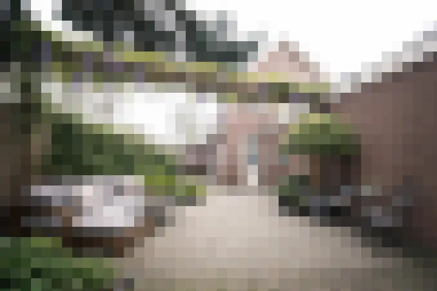 Driewegenweg 1 Putten thumbnail 46