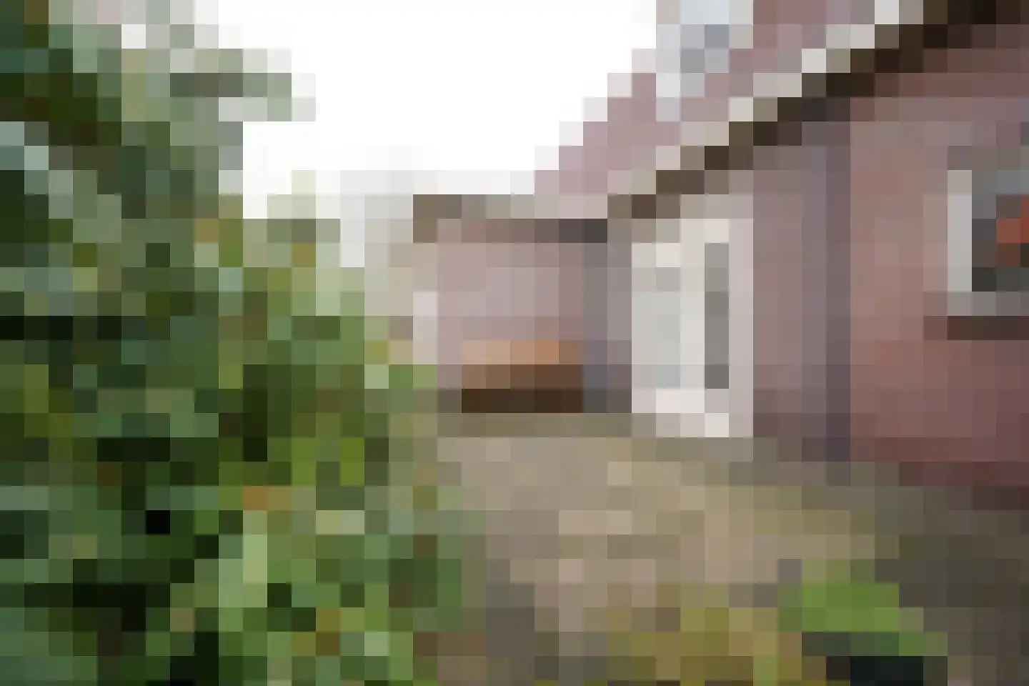 Driewegenweg 1 Putten thumbnail 47