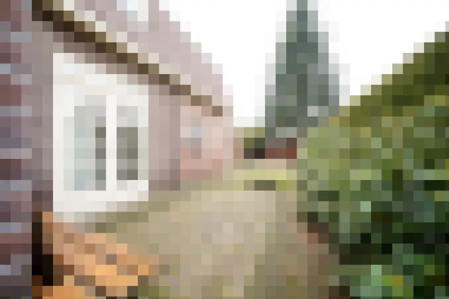 Driewegenweg 1 Putten thumbnail 48