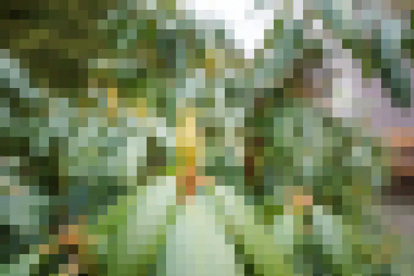 Driewegenweg 1 Putten thumbnail 50