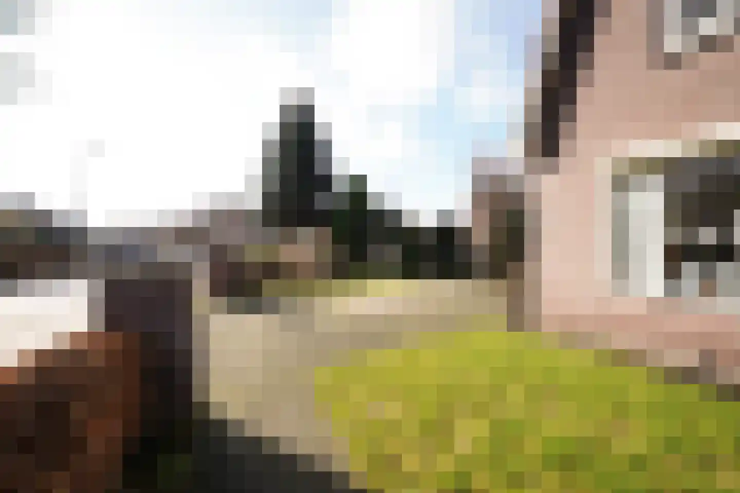 Driewegenweg 1 Putten thumbnail 52