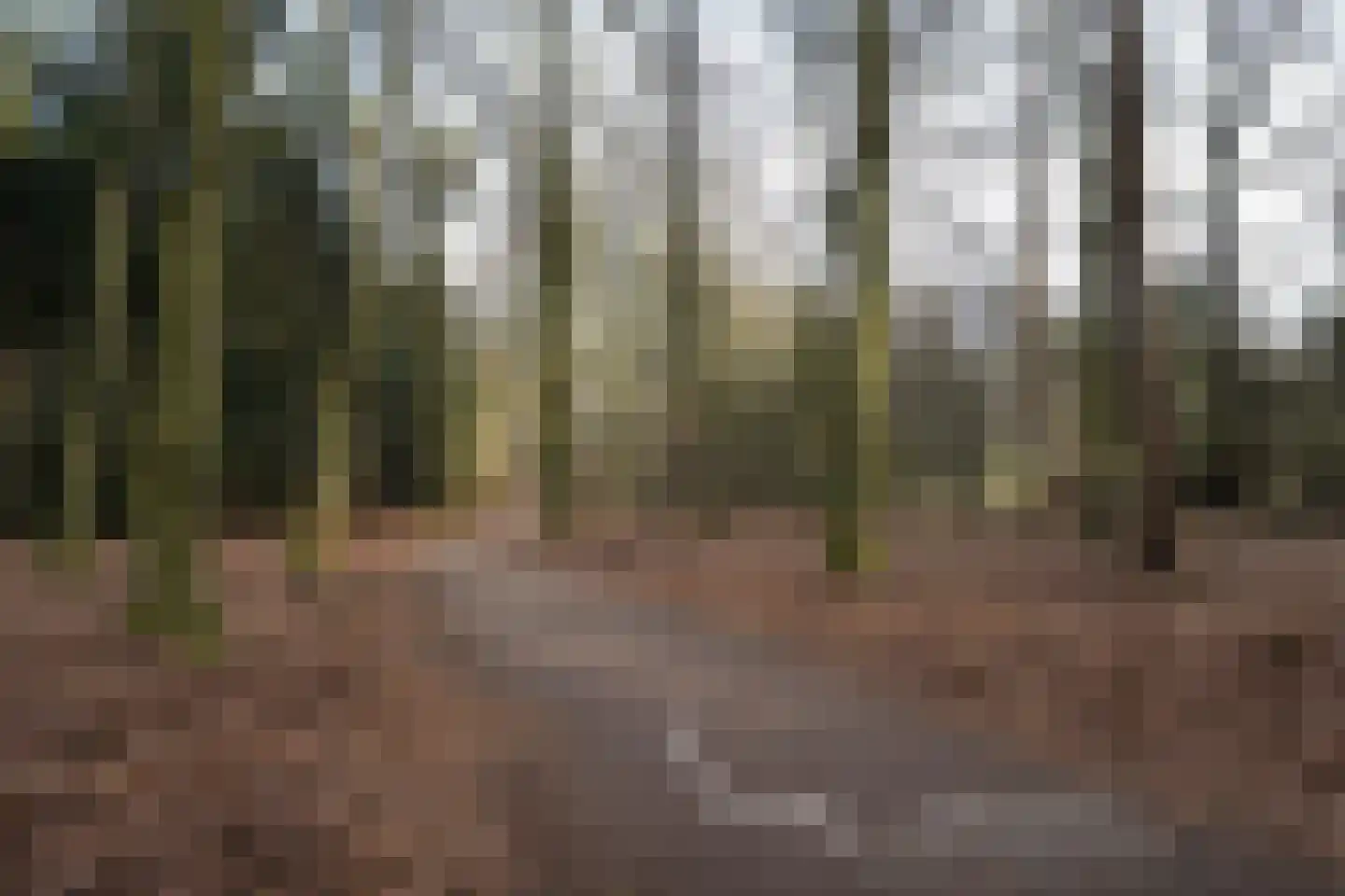 Driewegenweg 1 Putten thumbnail 58
