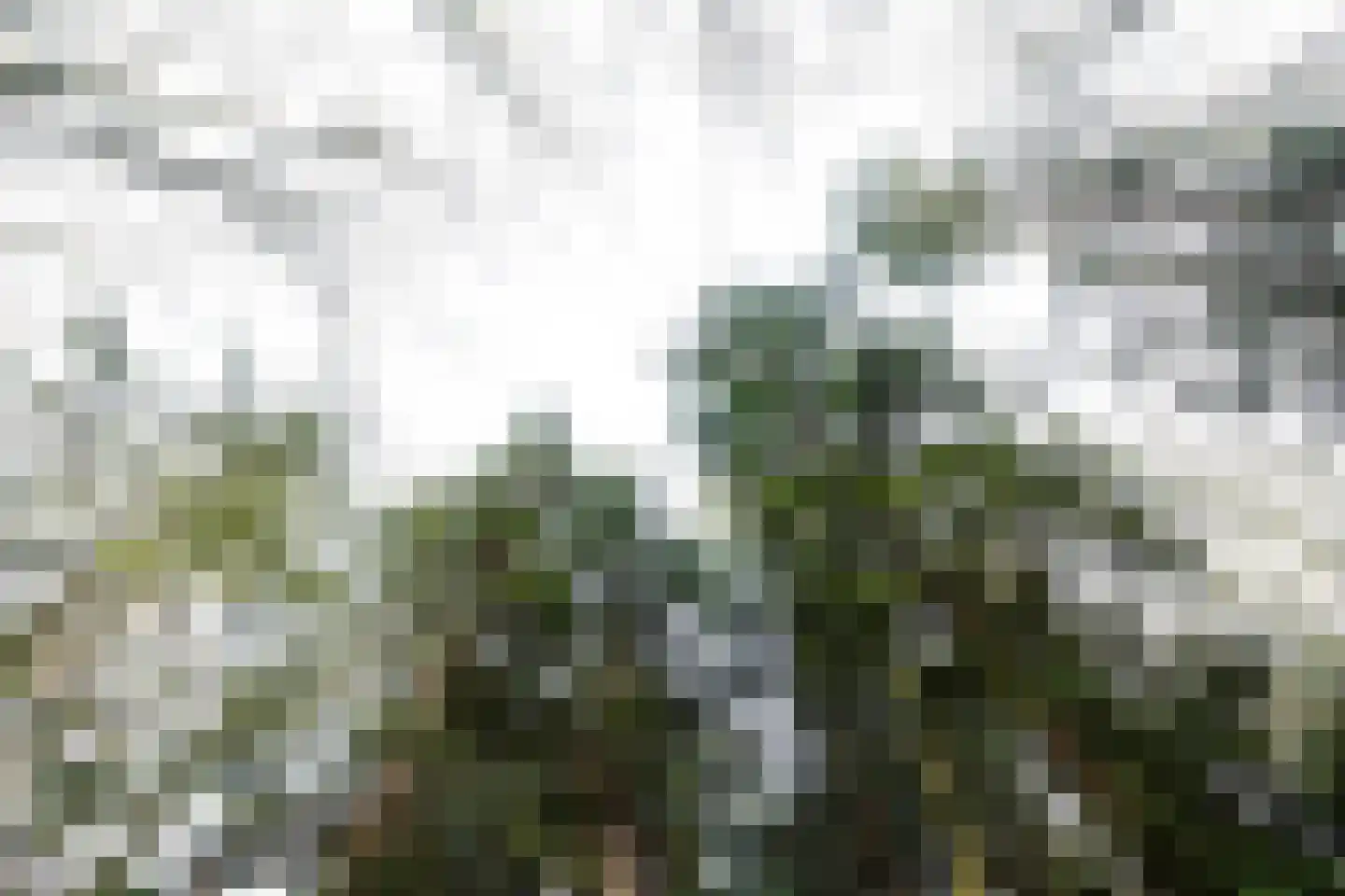 Driewegenweg 1 Putten thumbnail 59