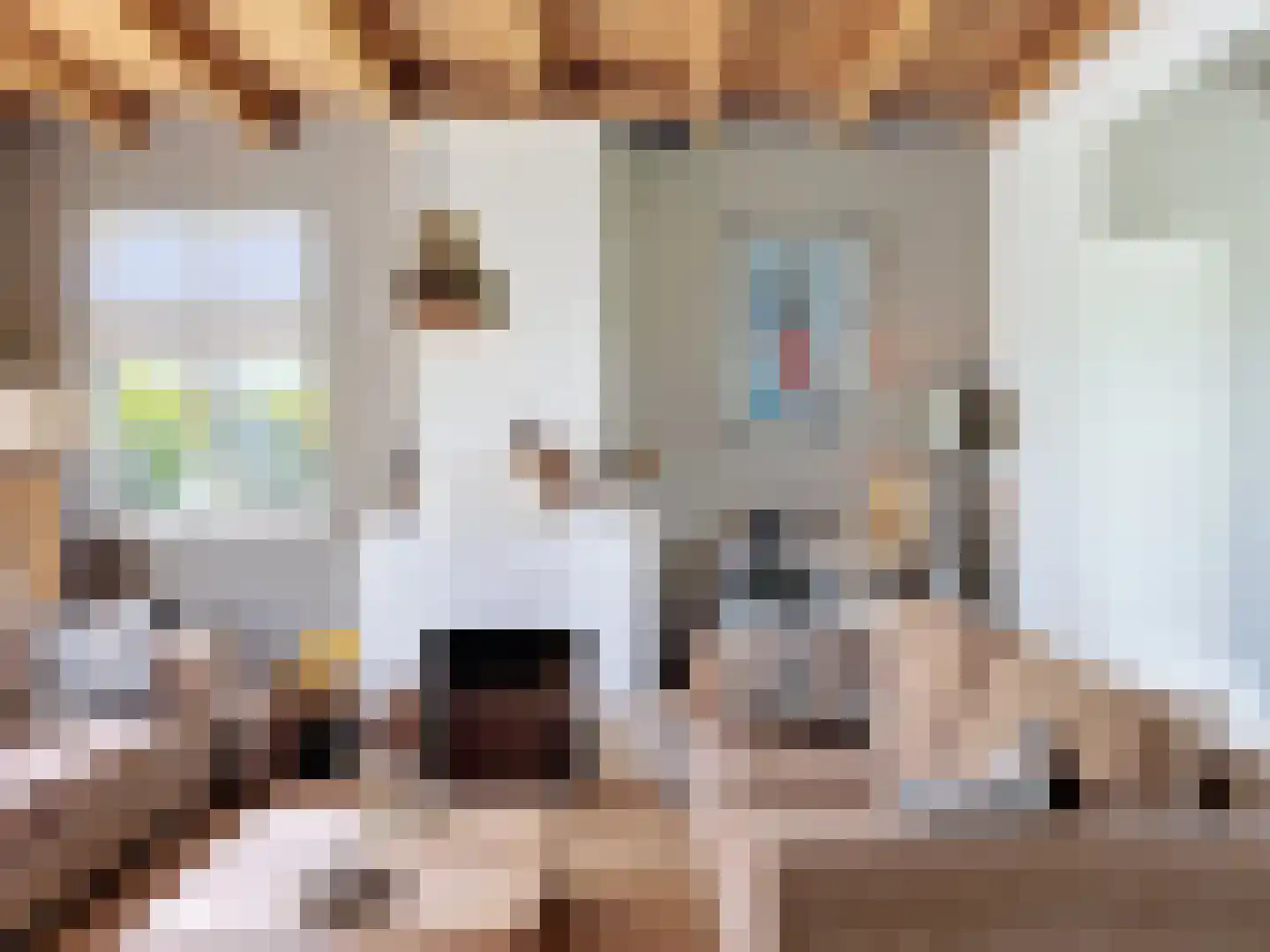 Driewegenweg 26 Biervliet thumbnail 12