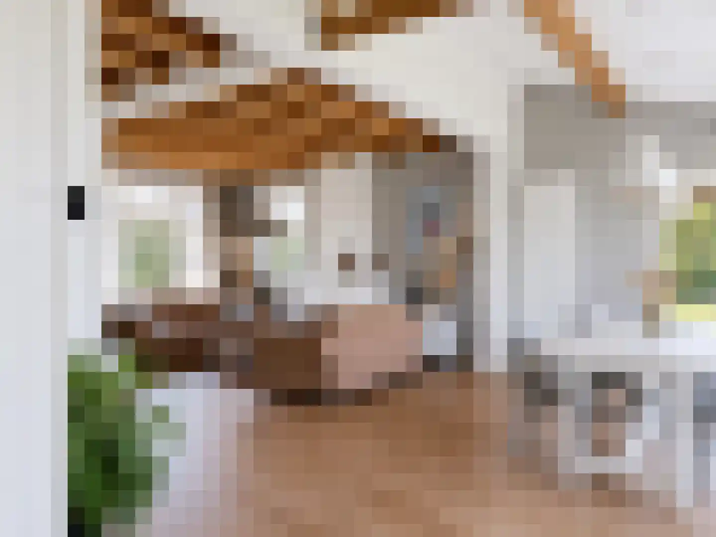 Driewegenweg 26 Biervliet thumbnail 13