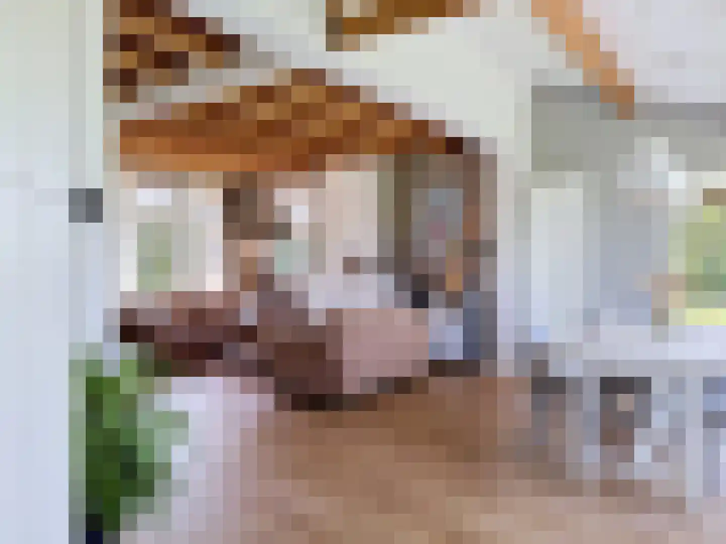 Driewegenweg 26 Biervliet thumbnail 13