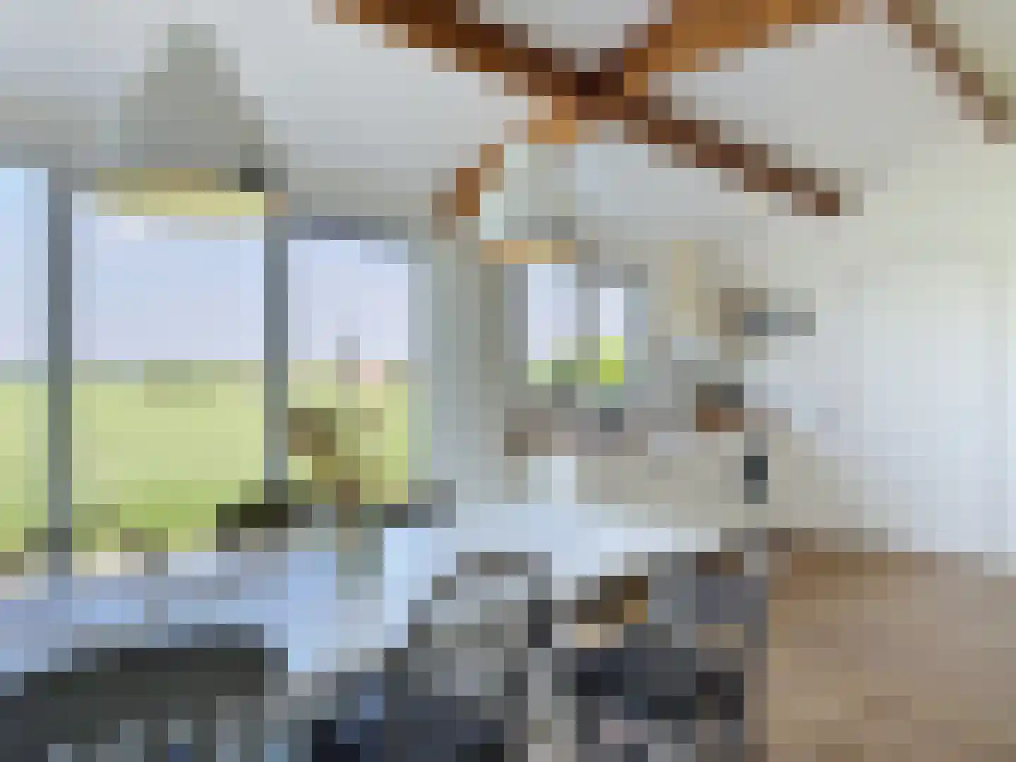 Driewegenweg 26 Biervliet thumbnail 14