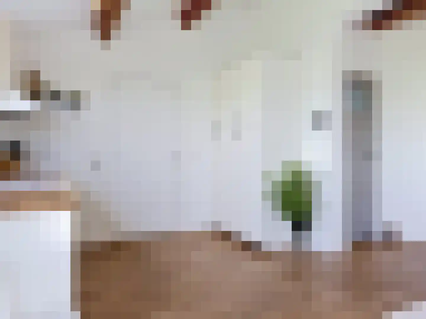Driewegenweg 26 Biervliet thumbnail 19