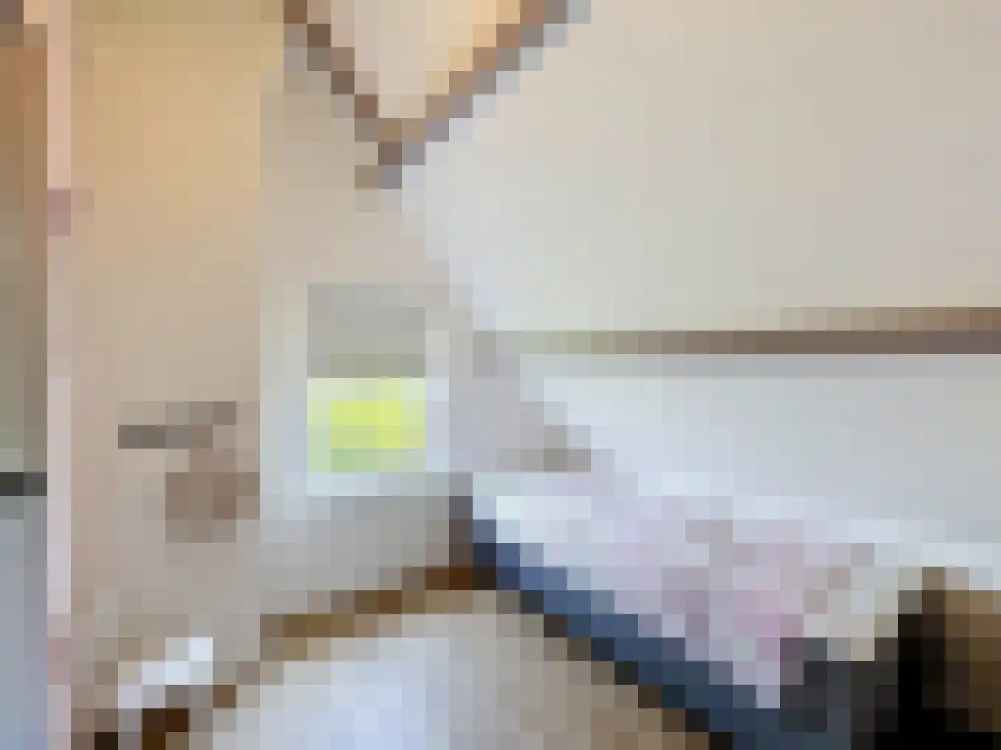 Driewegenweg 26 Biervliet thumbnail 31