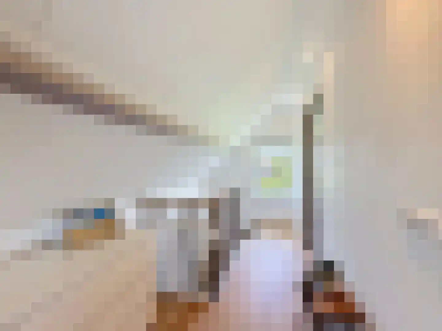Driewegenweg 26 Biervliet thumbnail 33