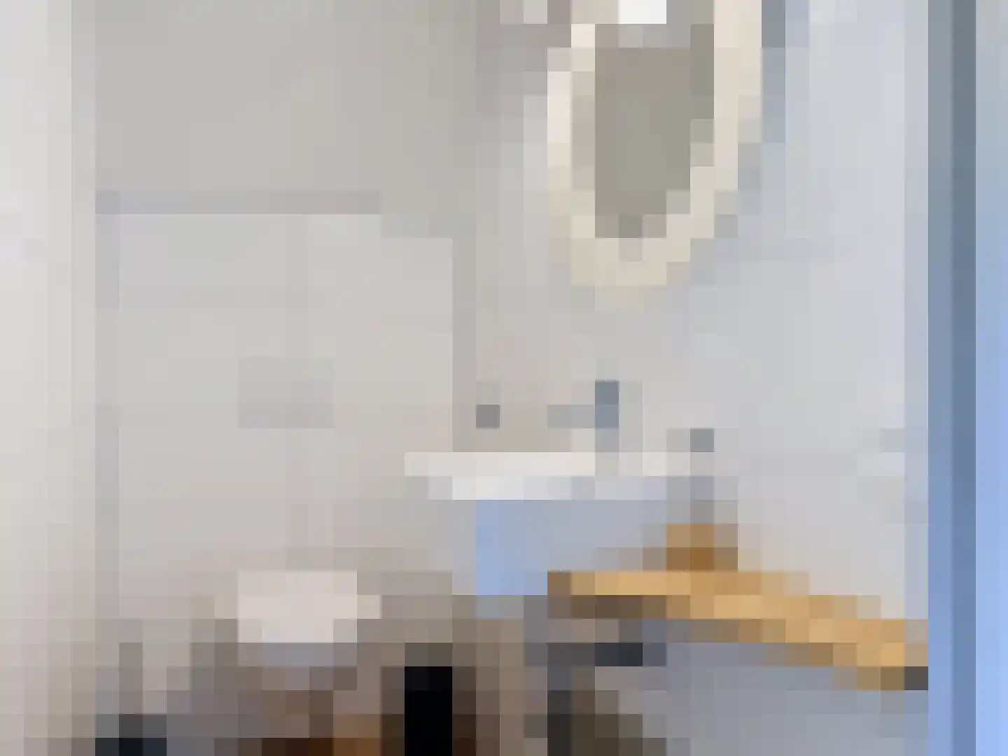 Driewegenweg 26 Biervliet thumbnail 34