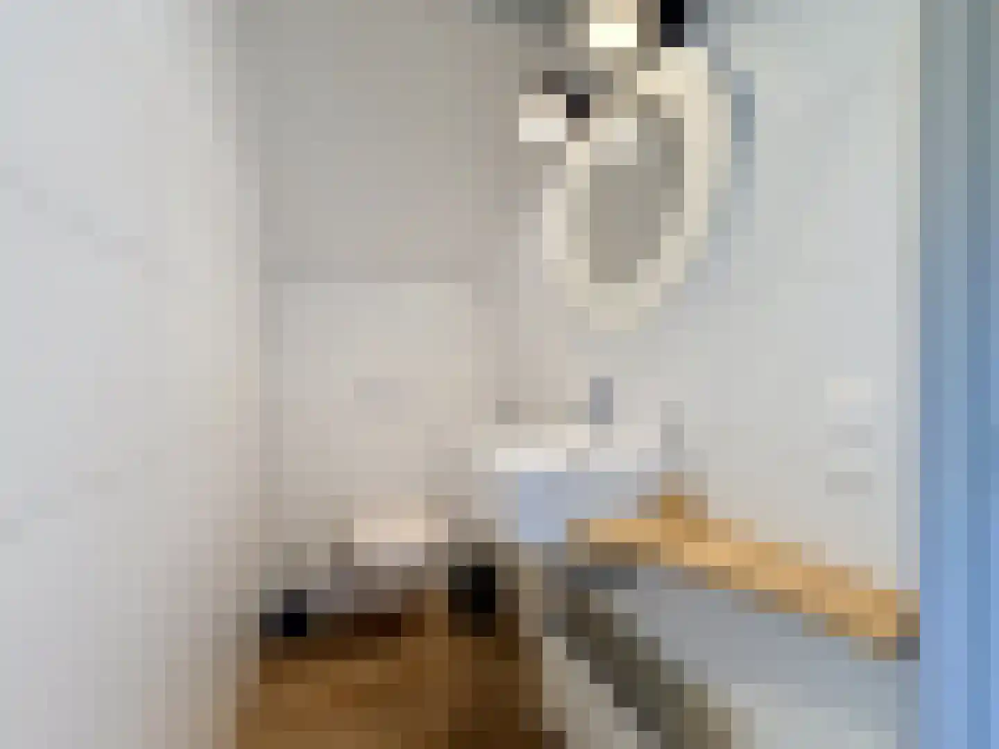 Driewegenweg 26 Biervliet thumbnail 35