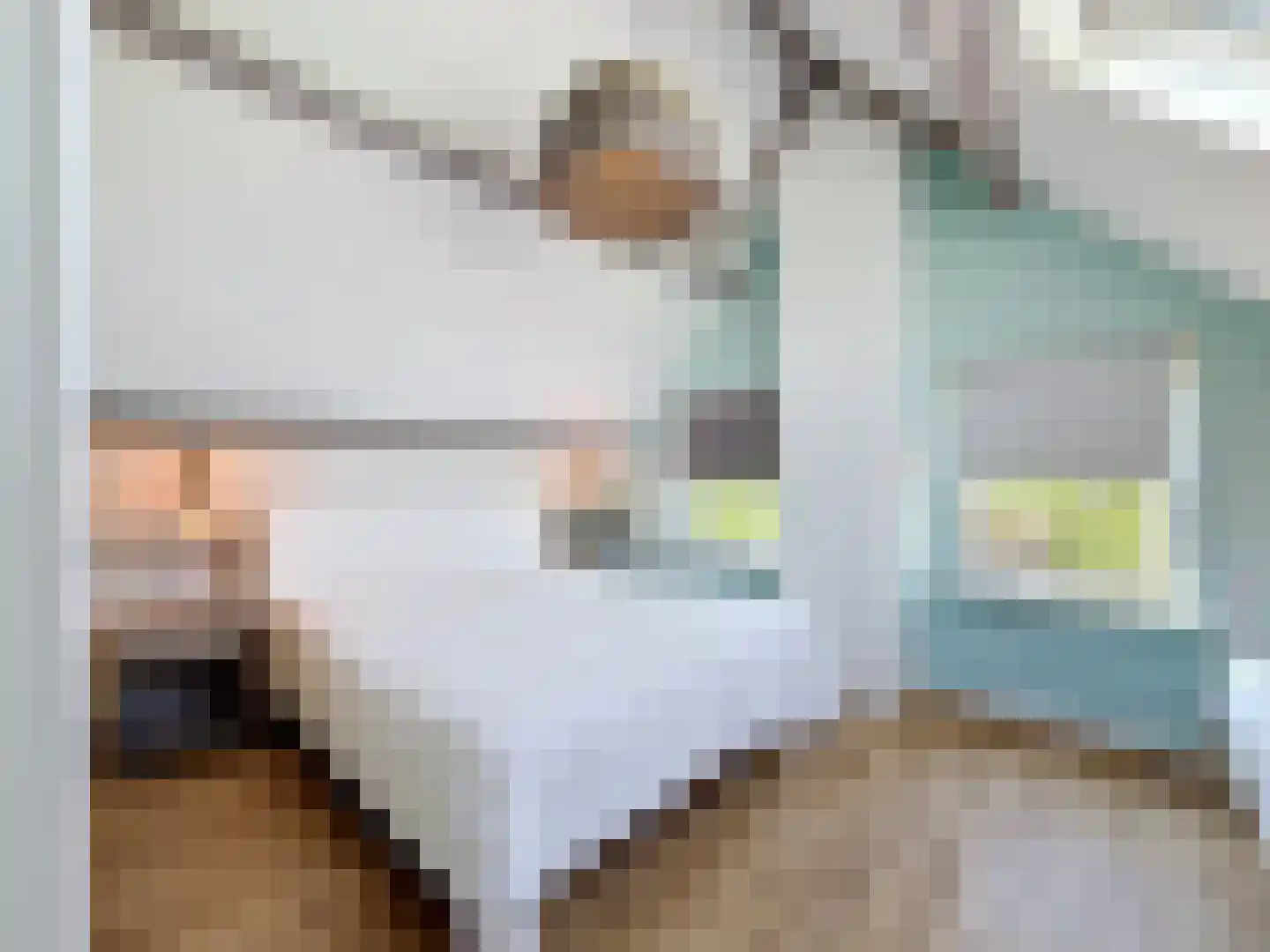 Driewegenweg 26 Biervliet thumbnail 36