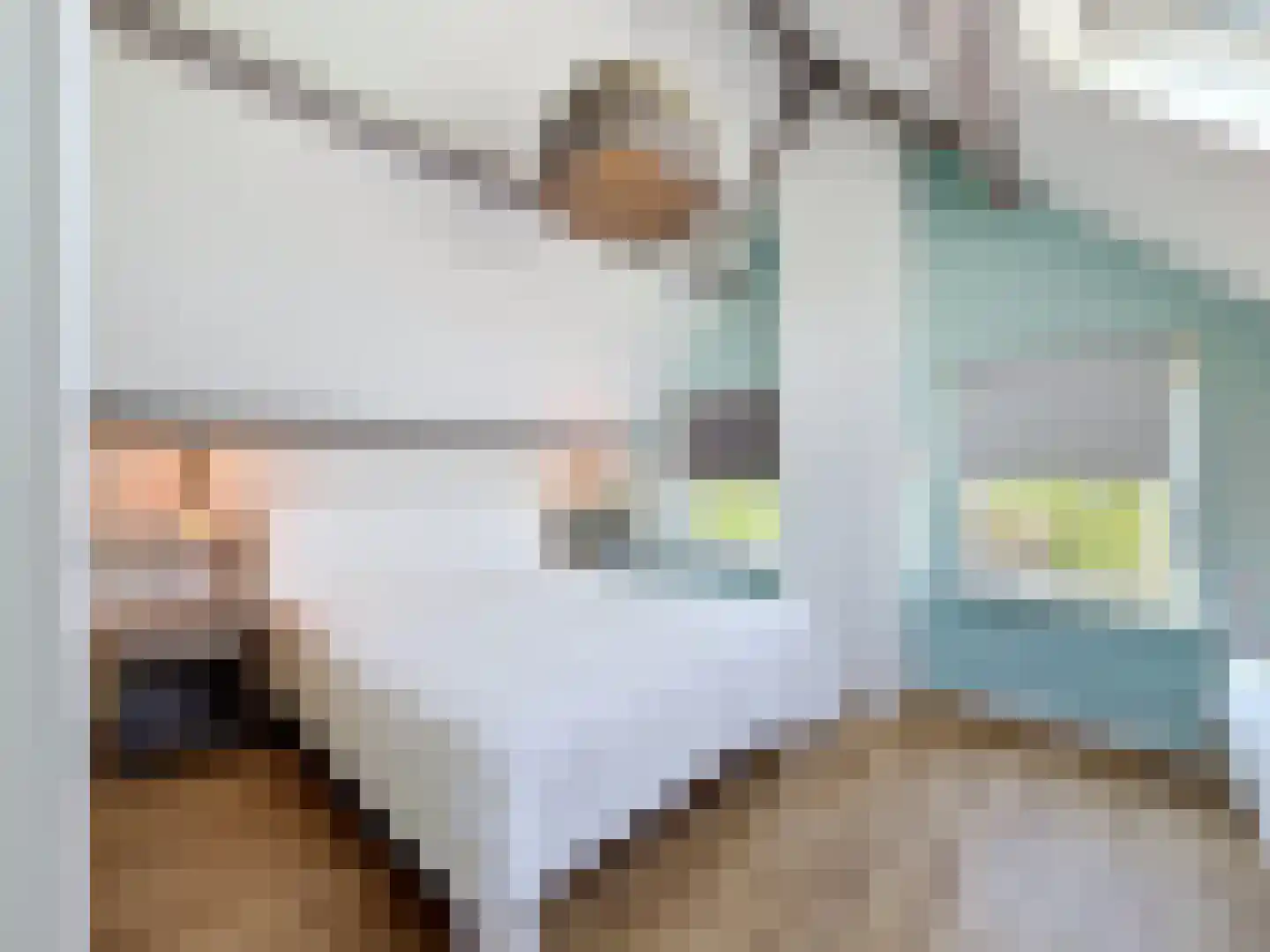 Driewegenweg 26 Biervliet thumbnail 36