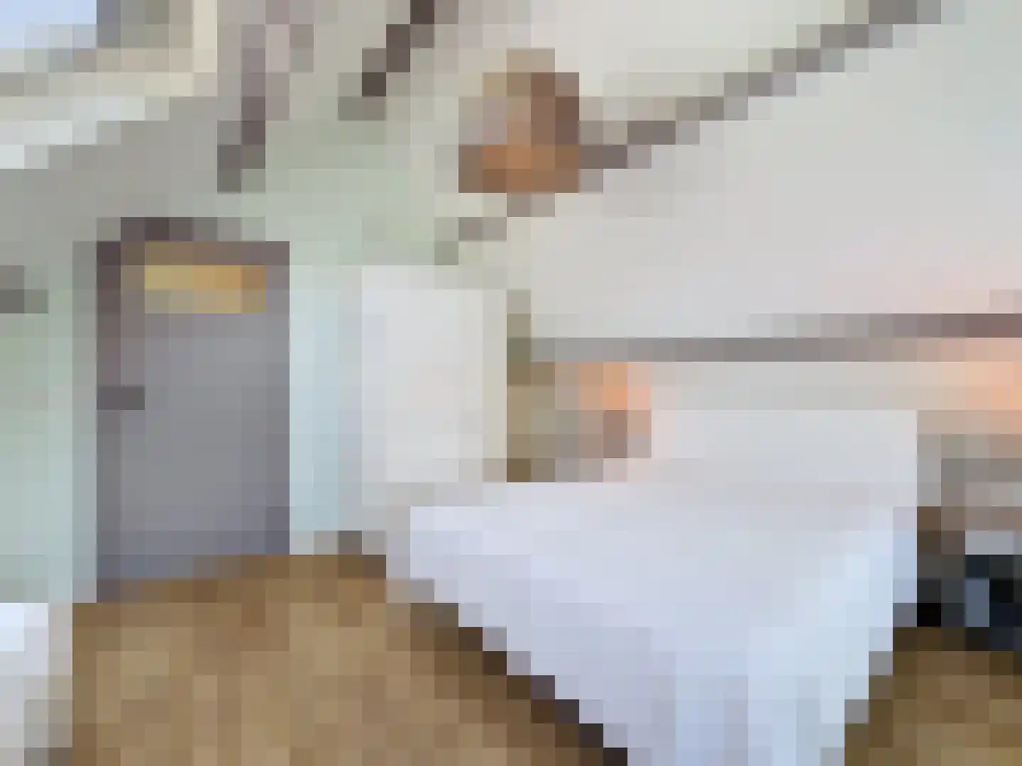 Driewegenweg 26 Biervliet thumbnail 38
