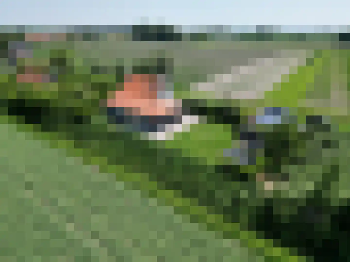 Driewegenweg 26 Biervliet thumbnail 41