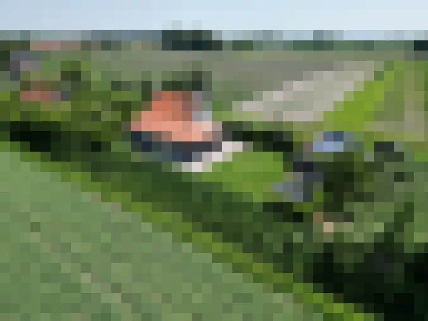 Driewegenweg 26 Biervliet thumbnail 41
