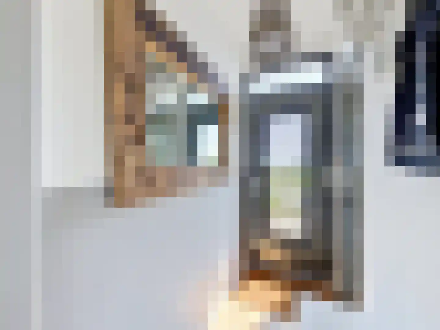 Driewegenweg 26 Biervliet thumbnail 5