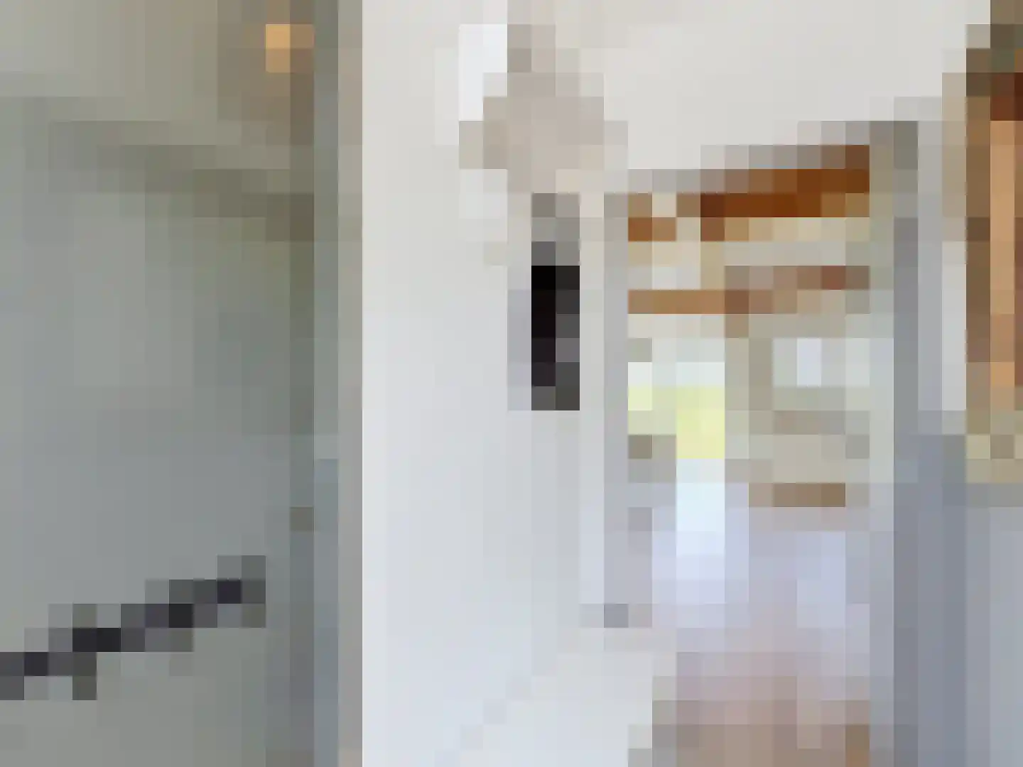 Driewegenweg 26 Biervliet thumbnail 6