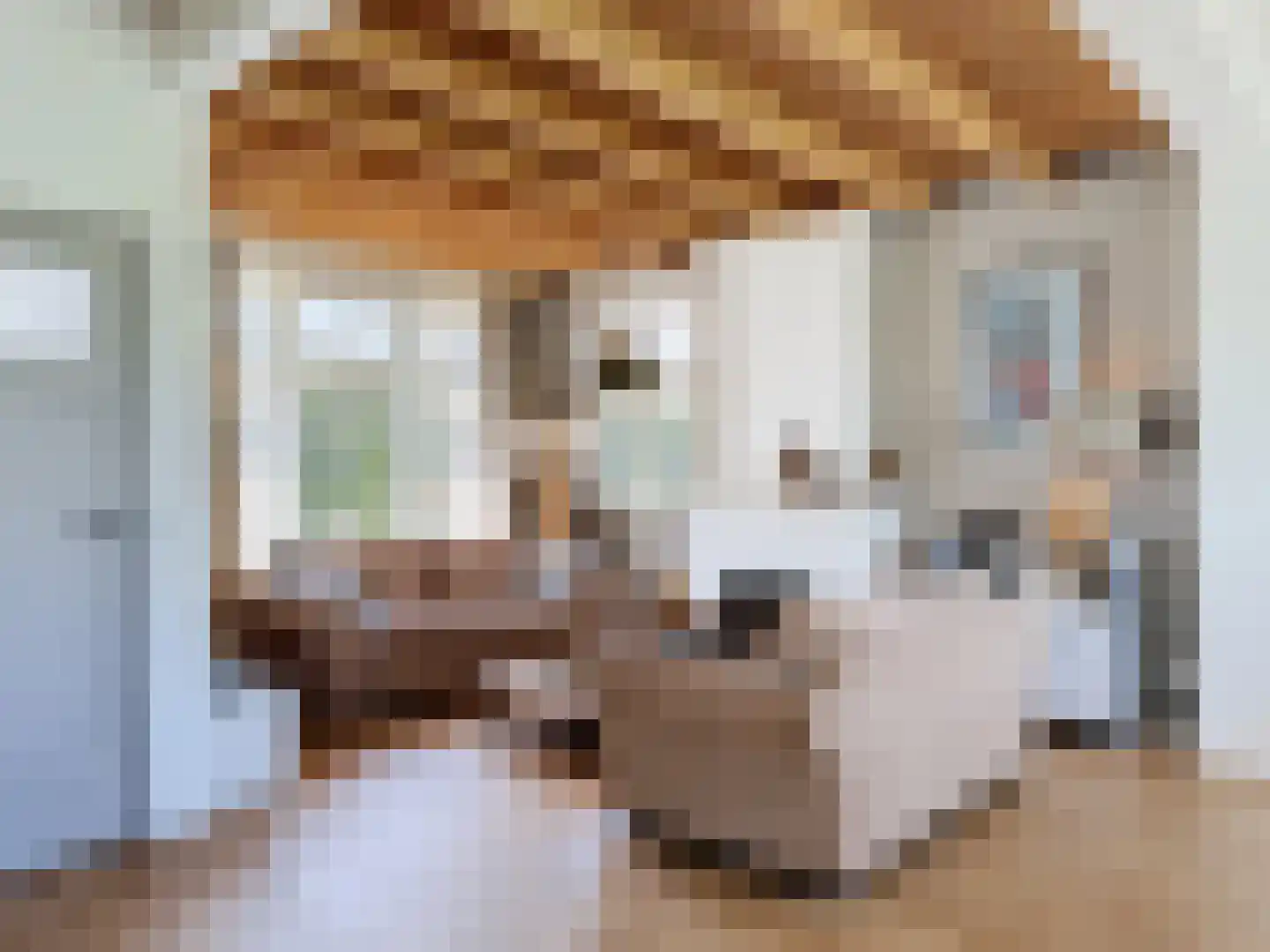 Driewegenweg 26 Biervliet thumbnail 7