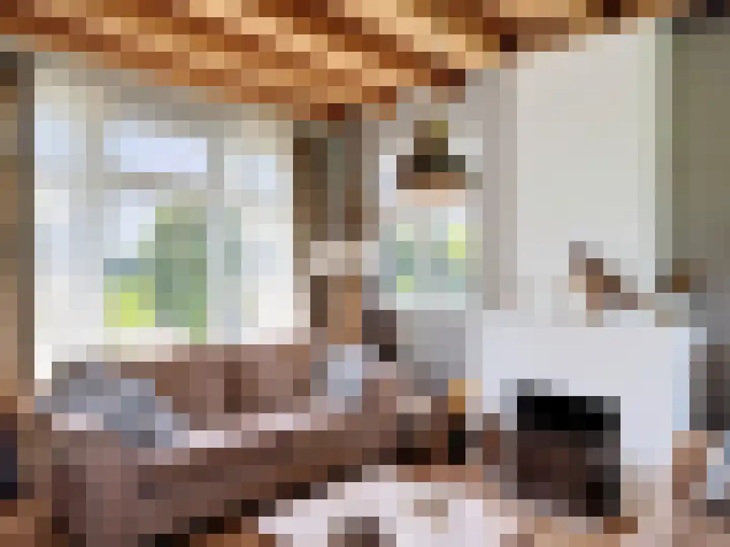 Driewegenweg 26 Biervliet thumbnail 8