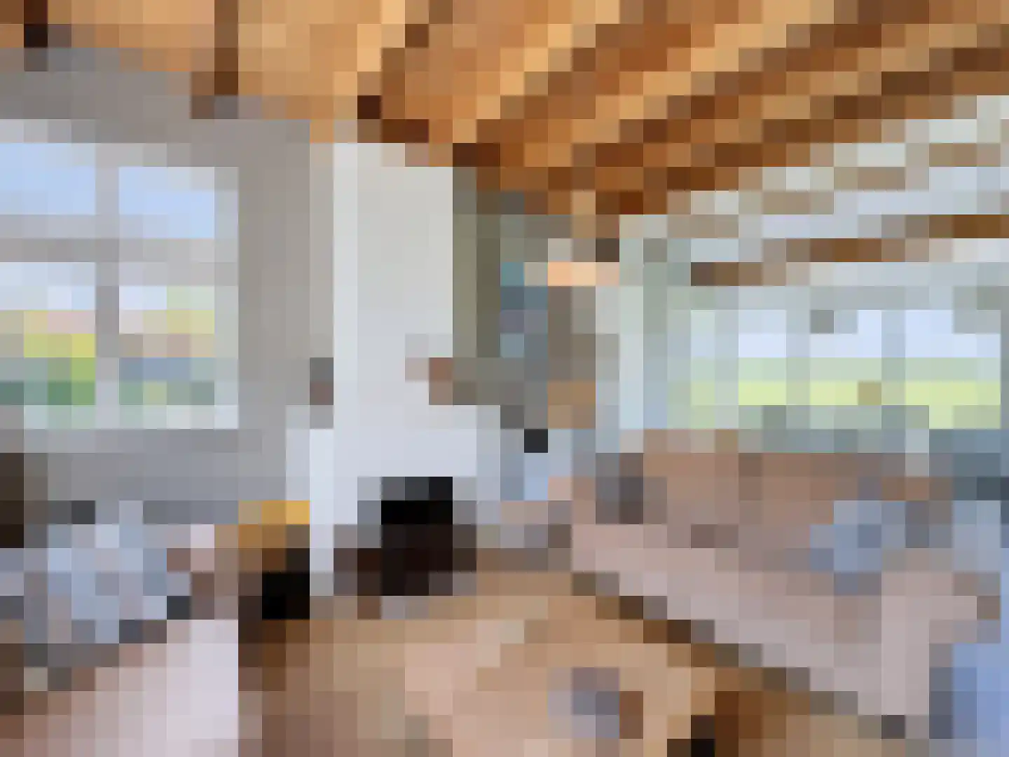 Driewegenweg 26 Biervliet thumbnail 9