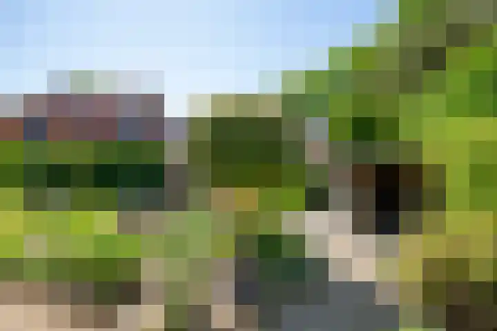 Driewegenweg 31 Putten thumbnail 28